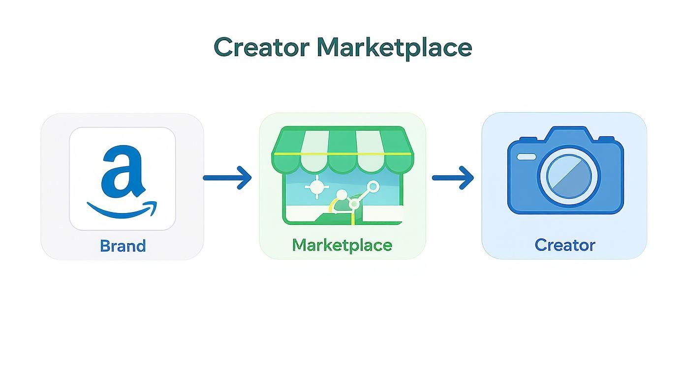 Flow diagram showing brand connecting to marketplace platform then to creator with camera icon