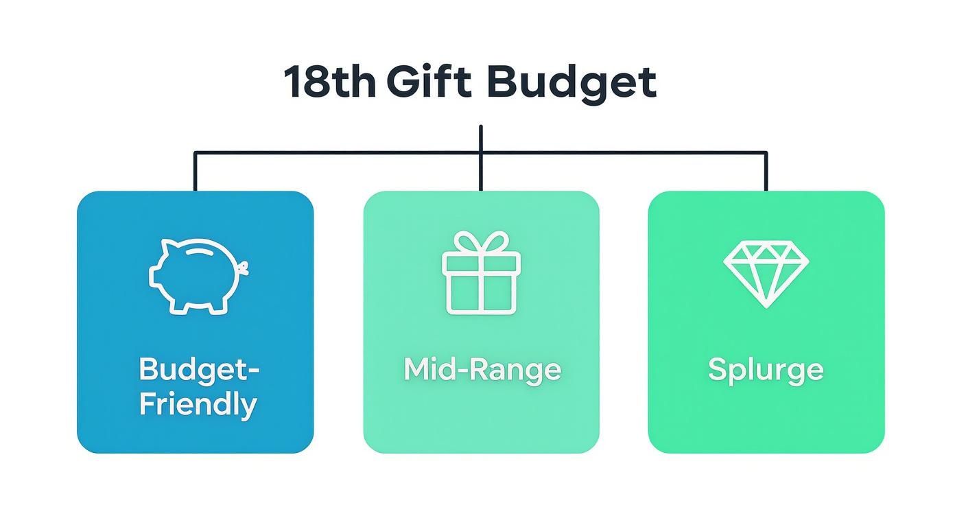 Infographic about 18th birthday present
