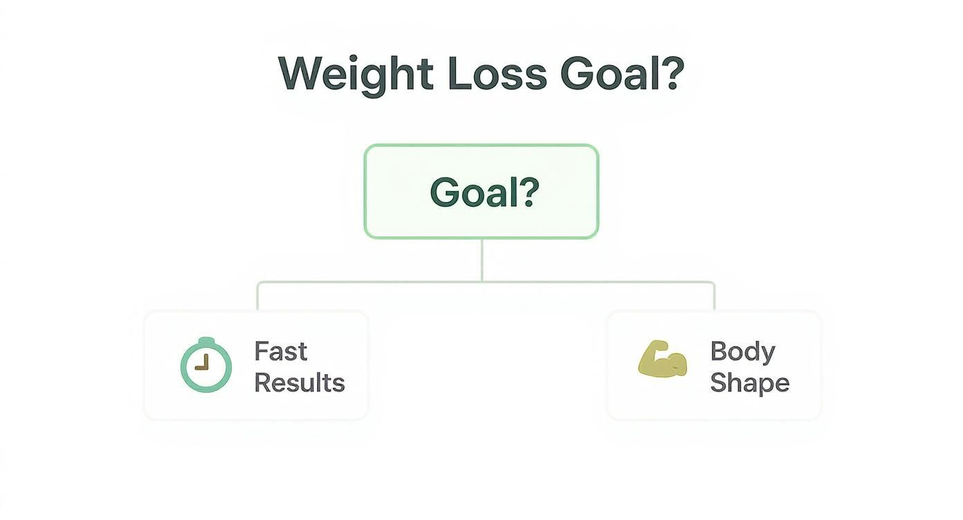 Infographic about exercise or diet for weight loss