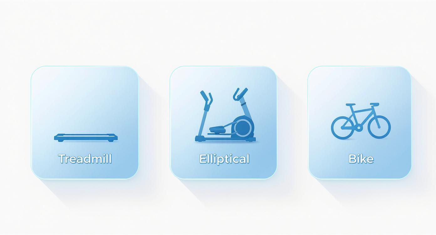 Three blue icons depicting a treadmill, elliptical, and bike for fitness and exercise.