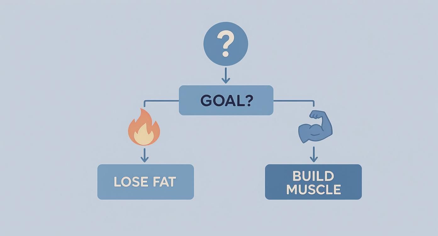 Flowchart illustrating a fitness goal decision: lose fat (fire icon) or build muscle (bicep icon).