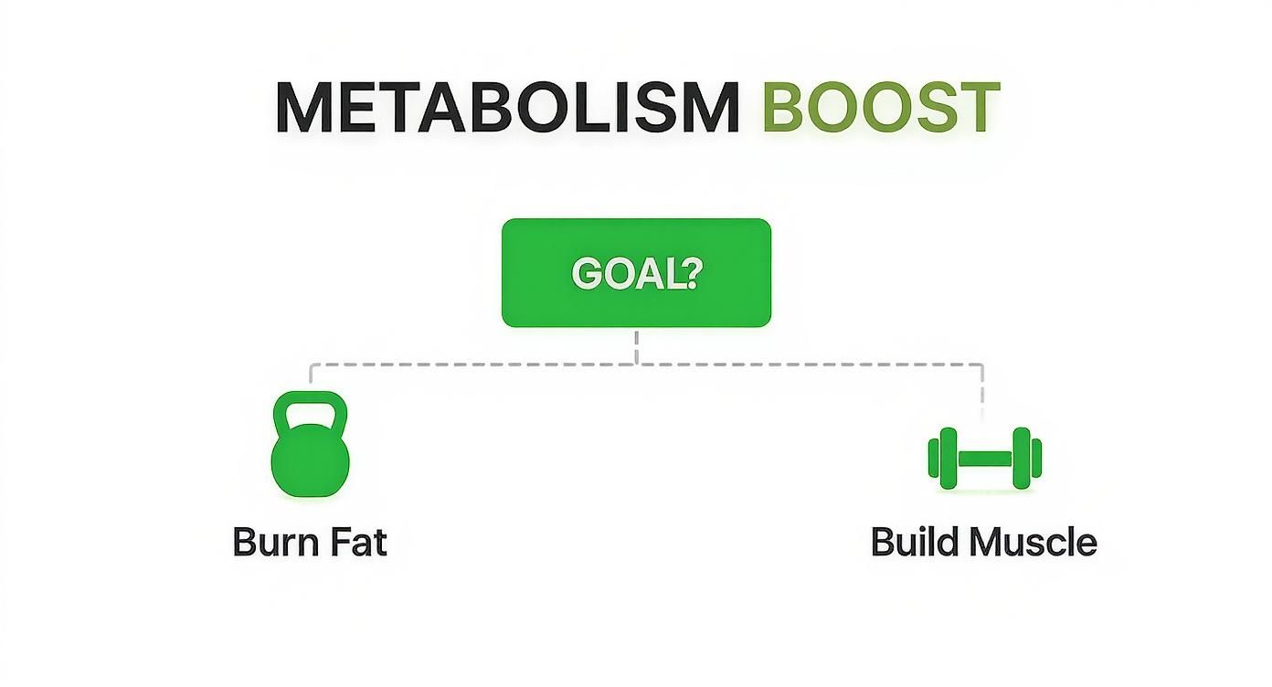 Infographic decision tree asking 'Goal?' with branches for 'Burn Fat' leading to a kettlebell and 'Build Muscle' leading to a dumbbell.