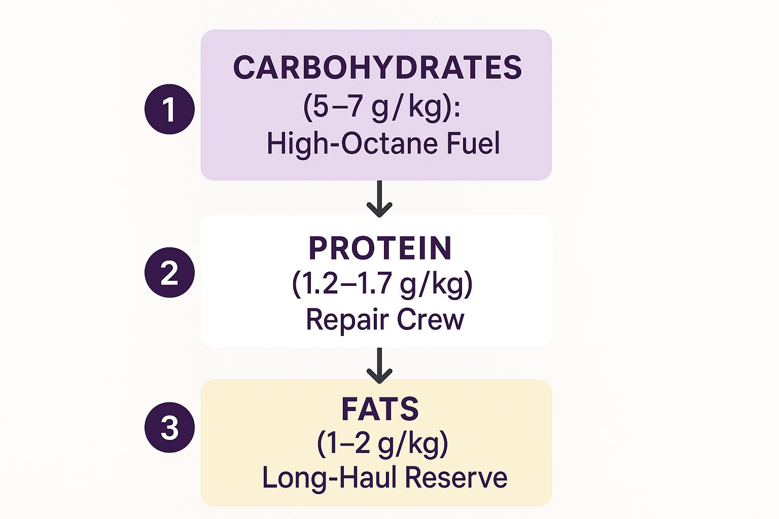 Infographic about sports nutrition for endurance athletes showing the recommended grams per kilogram for carbohydrates, protein, and fats.
