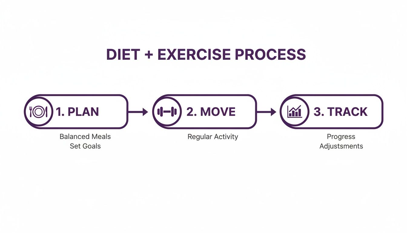 Infographic about healthy diet plan with exercise