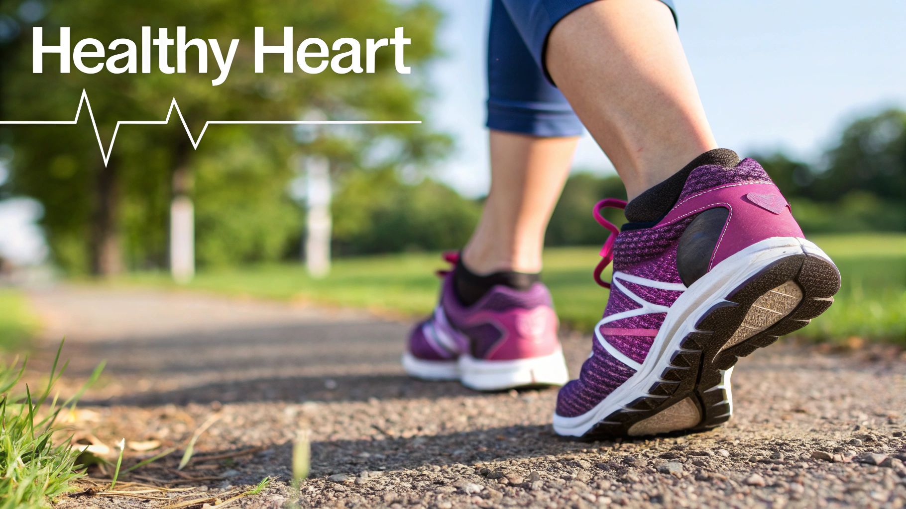 Cardiovascular Health and Disease Prevention