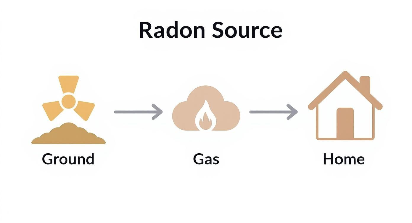 Infographic about radon gas health effects