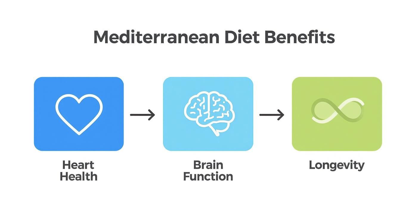 Infographic showing Mediterranean Diet benefits: heart health, brain function, and longevity.