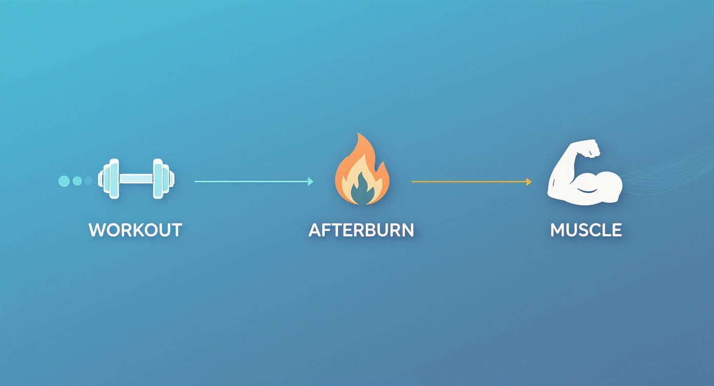 Infographic about exercise for weight loss