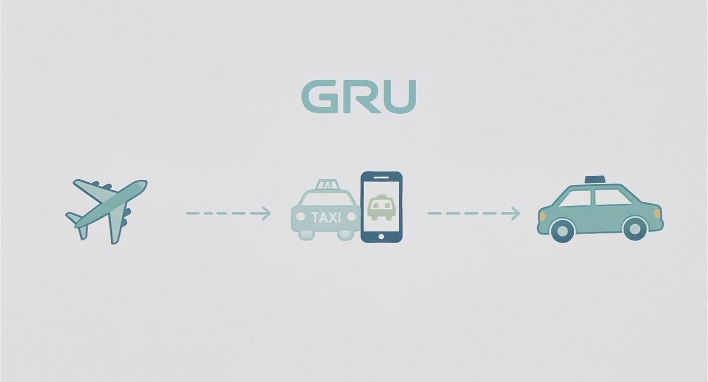 Your Guide to a Taxi Aeroporto Guarulhos Transfer Infographic about taxi aeroporto guarulhos