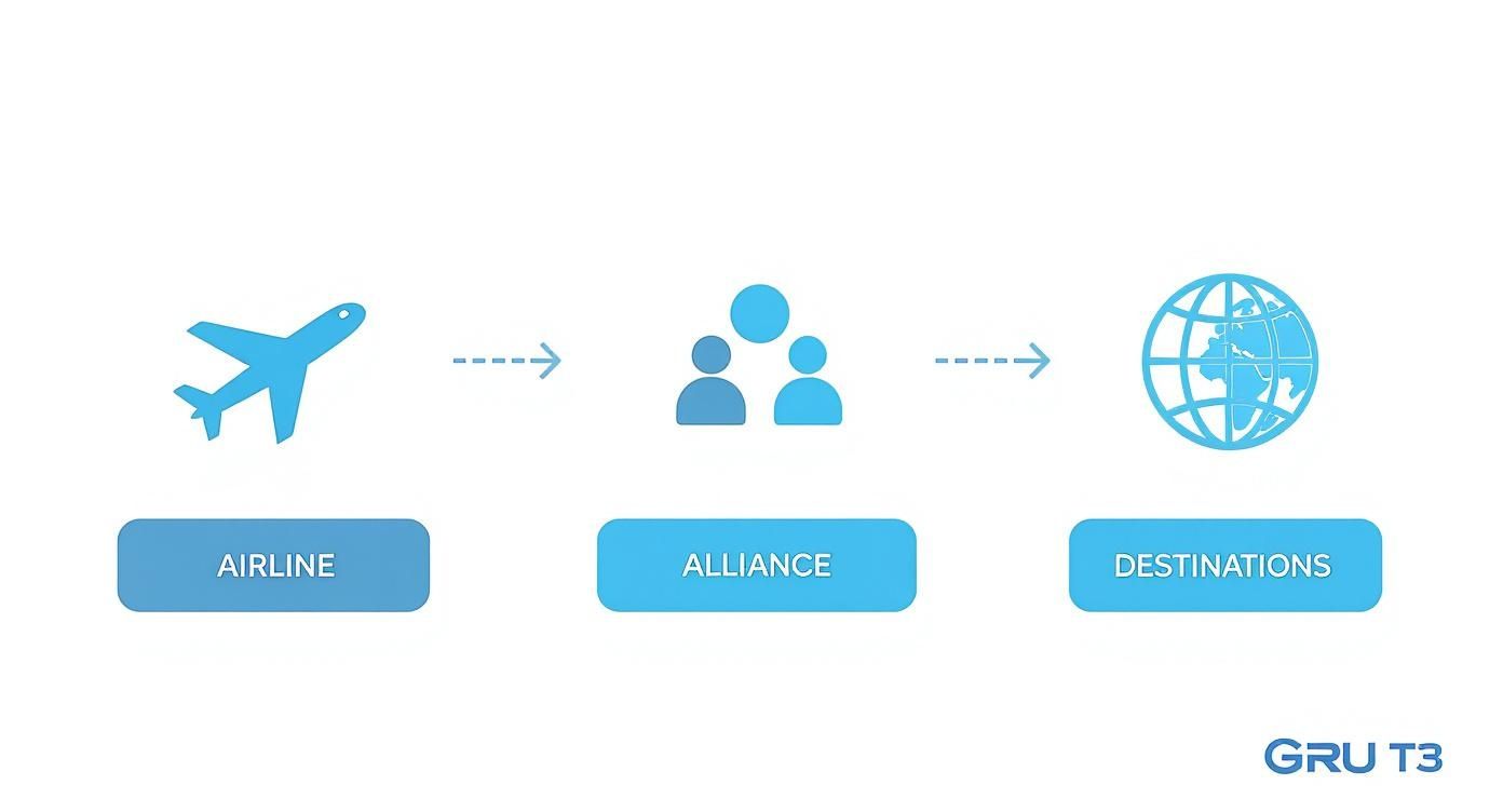 Navigating Aeroporto de Guarulhos Terminal 3 Airline alliance destinations flow diagram showing airplane connecting to group of people and global network