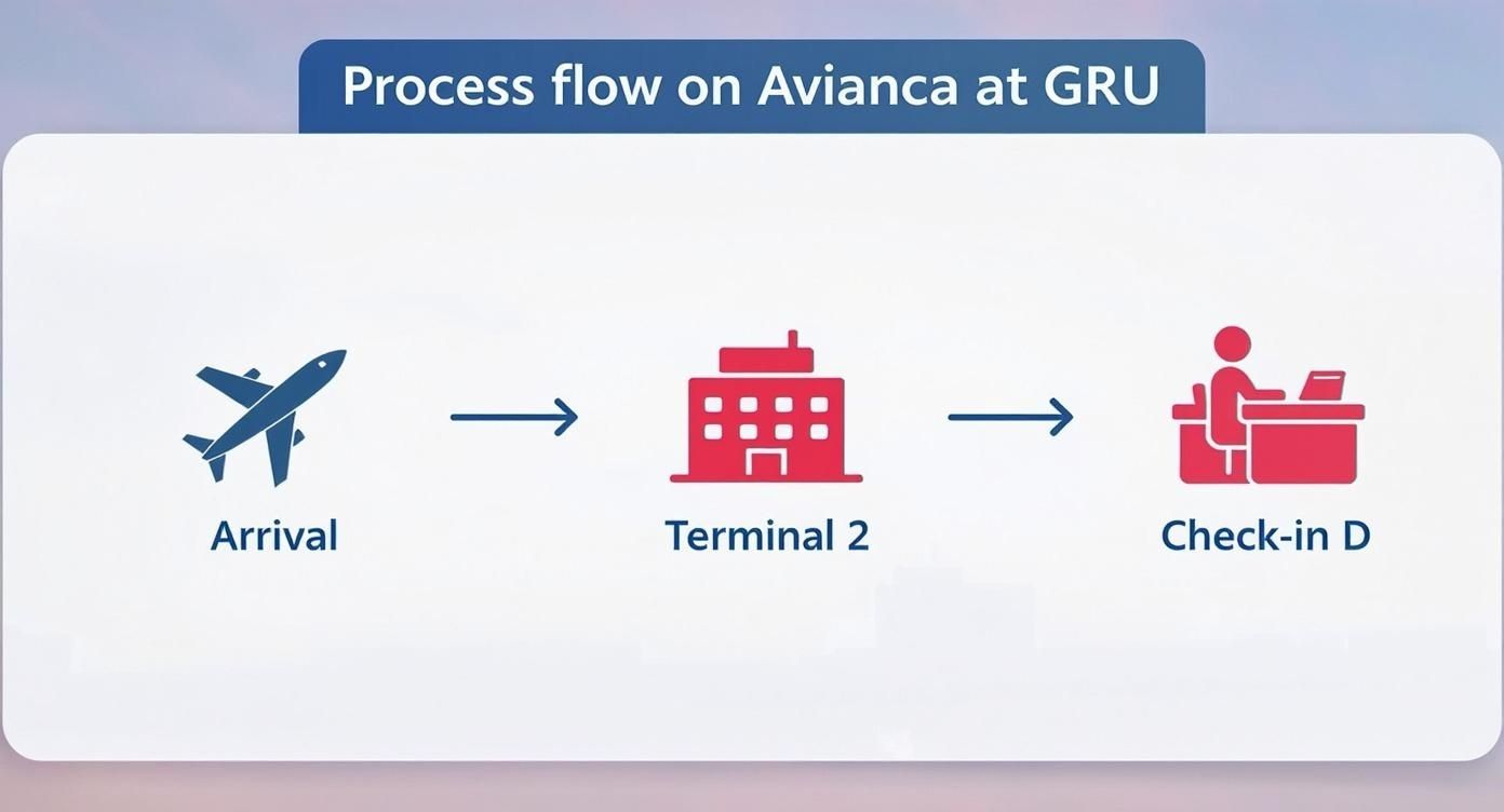 Your Guide to Terminal Avianca Guarulhos (GRU) Process flow diagram showing Avianca arrival at GRU airport through Terminal 2 to check-in desk
