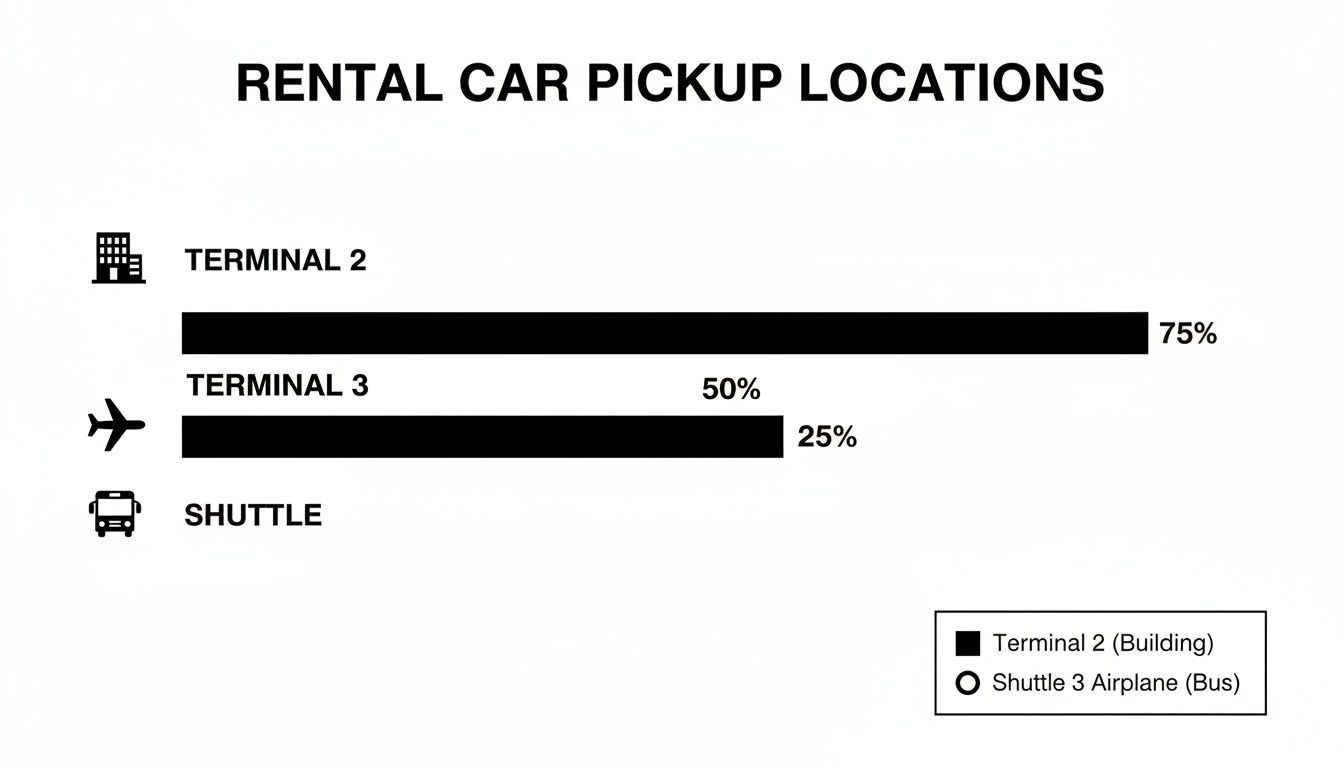 Your Guide to Rental Car Sao Paulo Guarulhos Airport Bar chart titled 'Rental Car Pickup Locations' showing Terminal 2 at 75%, and Terminal 3 at 50% and 25%.