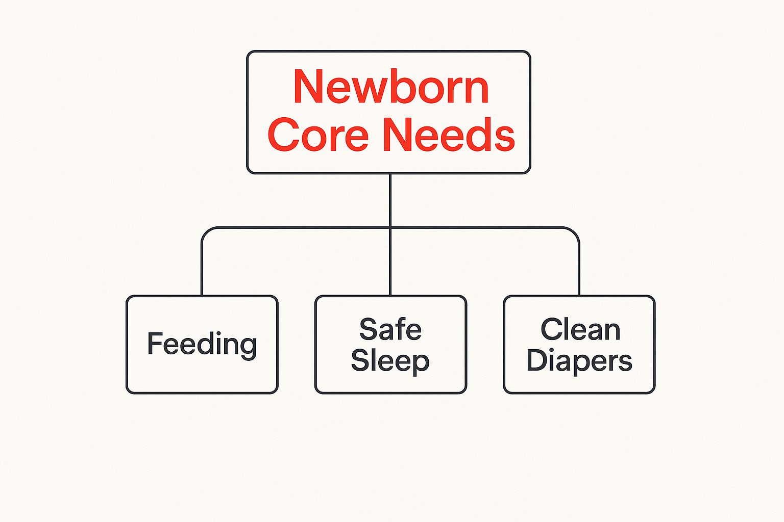 Infographic about what do newborns really need