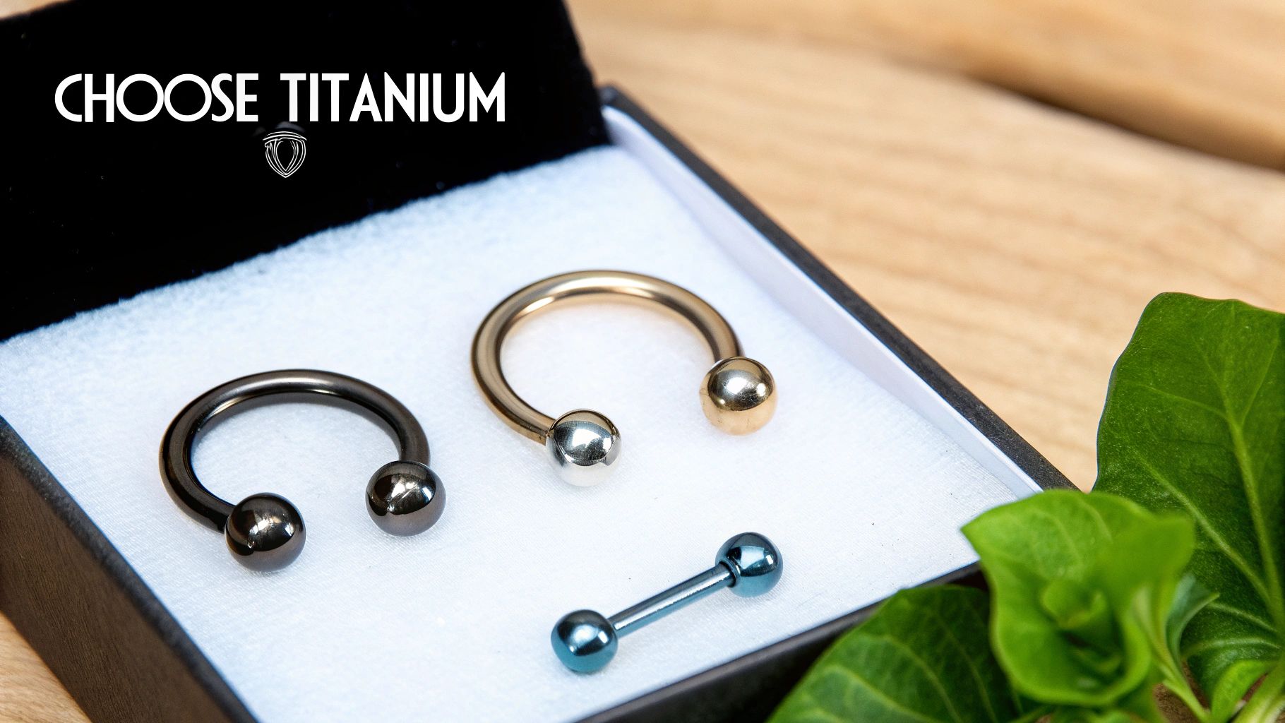 Assortment of titanium body piercing jewelry, including two horseshoe barbells and one straight barbell, in a box.
