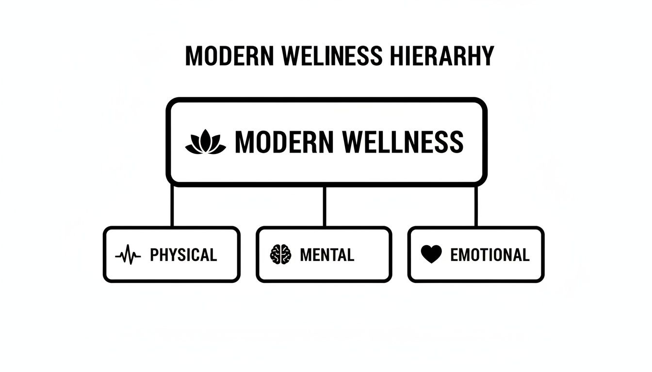 A clear hierarchy diagram outlining Modern Wellness, encompassing physical, mental, and emotional well-being.