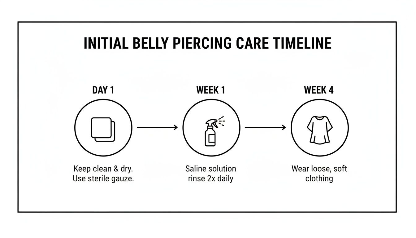 Timeline illustrating initial belly piercing care with steps for day 1, week 1, and week 4.