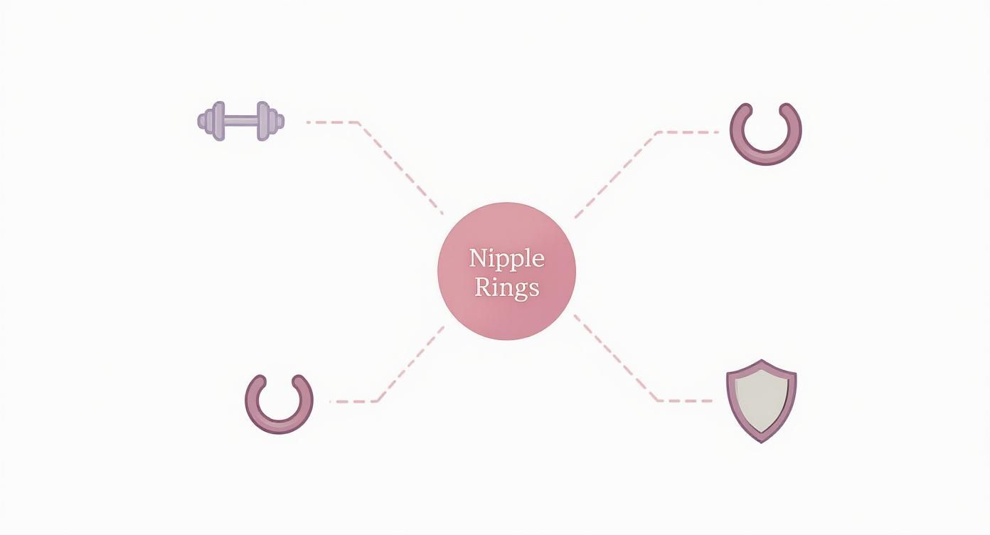 Infographic about different types of nipple rings