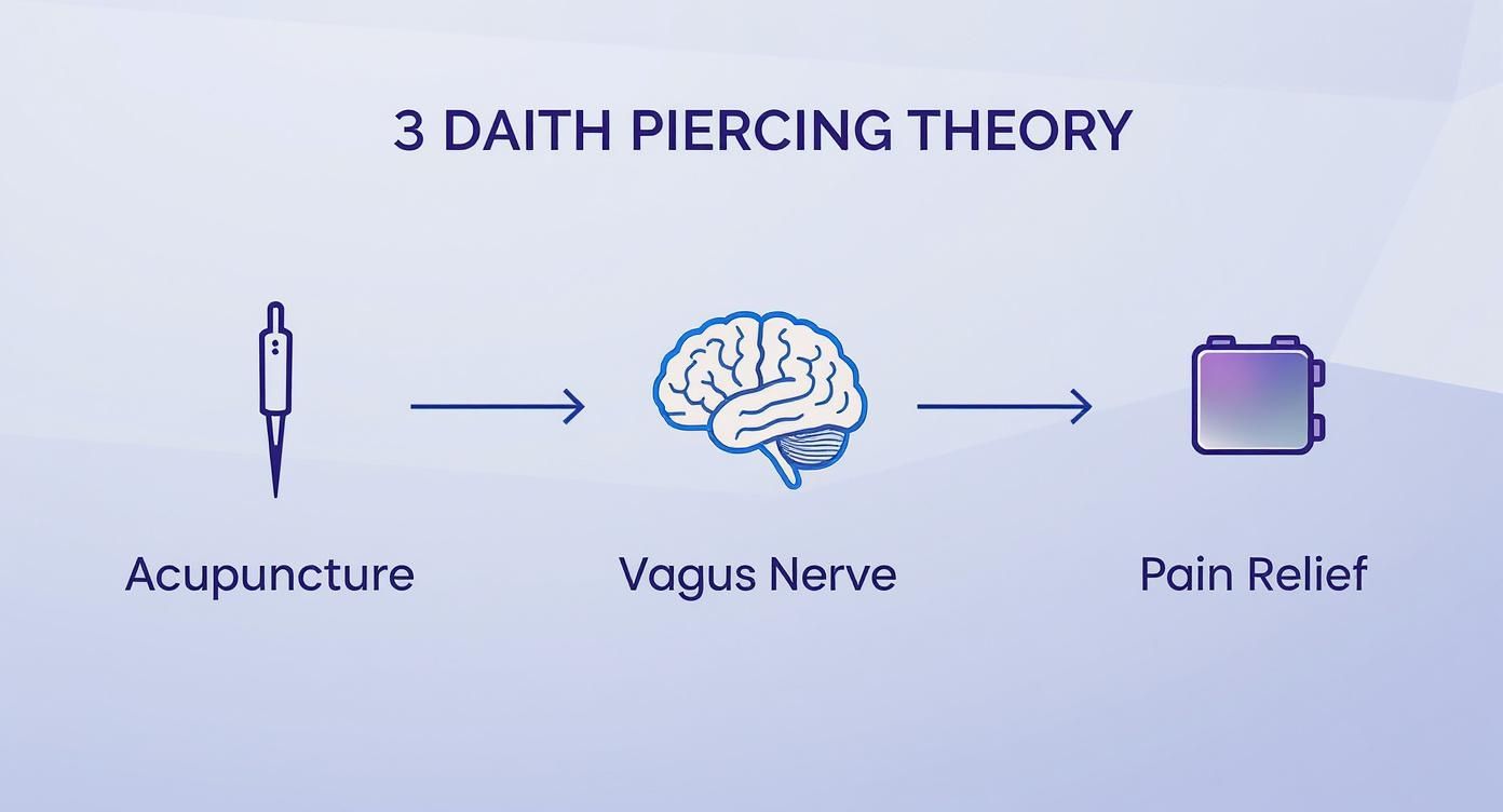 Diagram illustrating the 3 Daith Piercing Theory, connecting acupuncture to vagus nerve and pain relief.