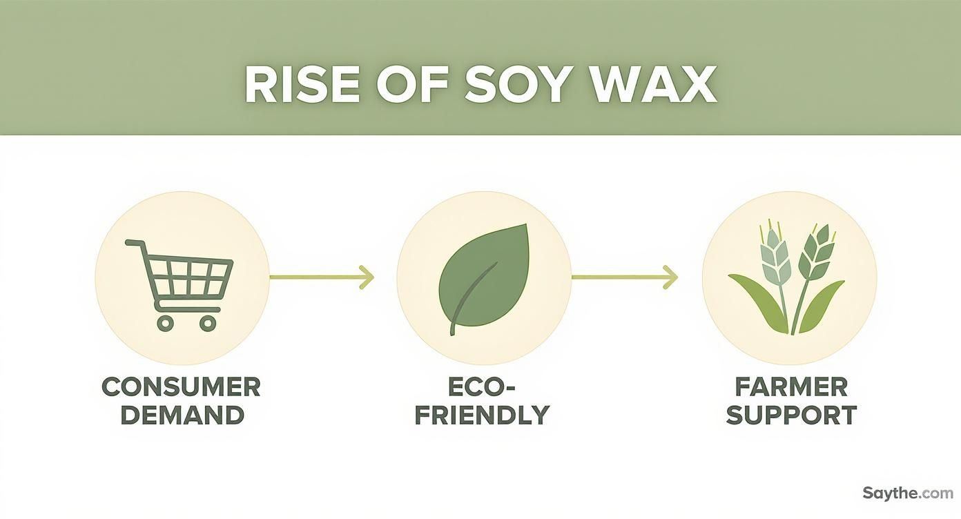 Infographic showing rise of soy wax driven by consumer demand, eco-friendly benefits, and farmer support