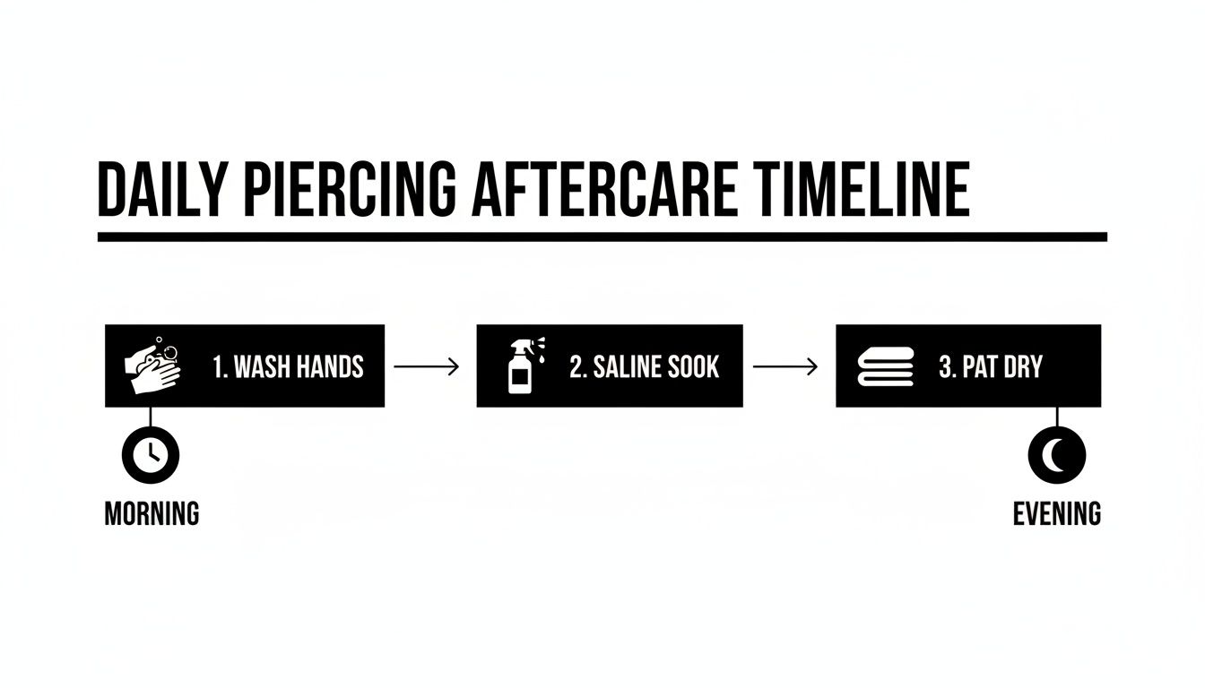 Daily piercing aftercare timeline showing steps: wash hands, saline soak, and pat dry, indicating morning and evening routines.