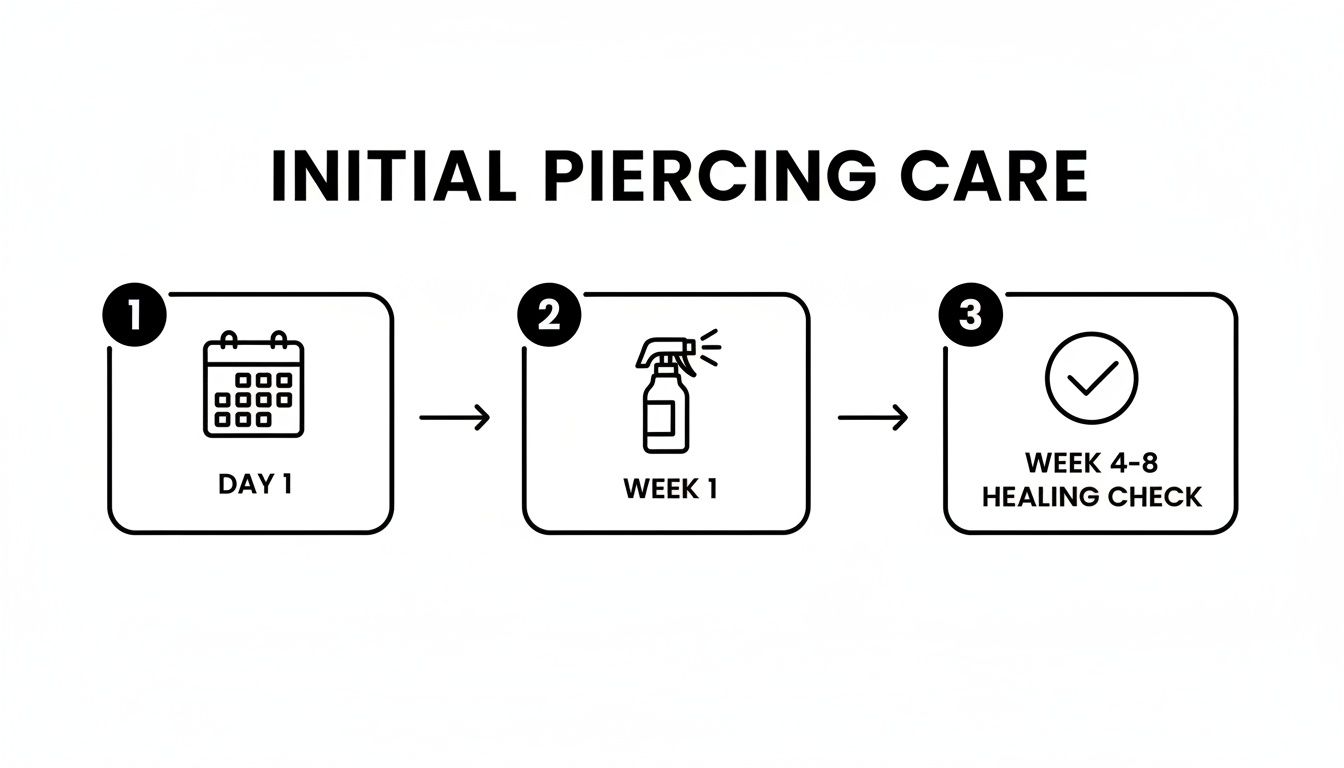 Visual timeline for initial piercing aftercare: Day 1, Week 1 cleaning, and Week 4-8 healing check.