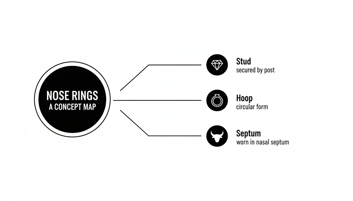 A concept map illustrating different types of nose rings: Stud, Hoop, and Septum with descriptions.