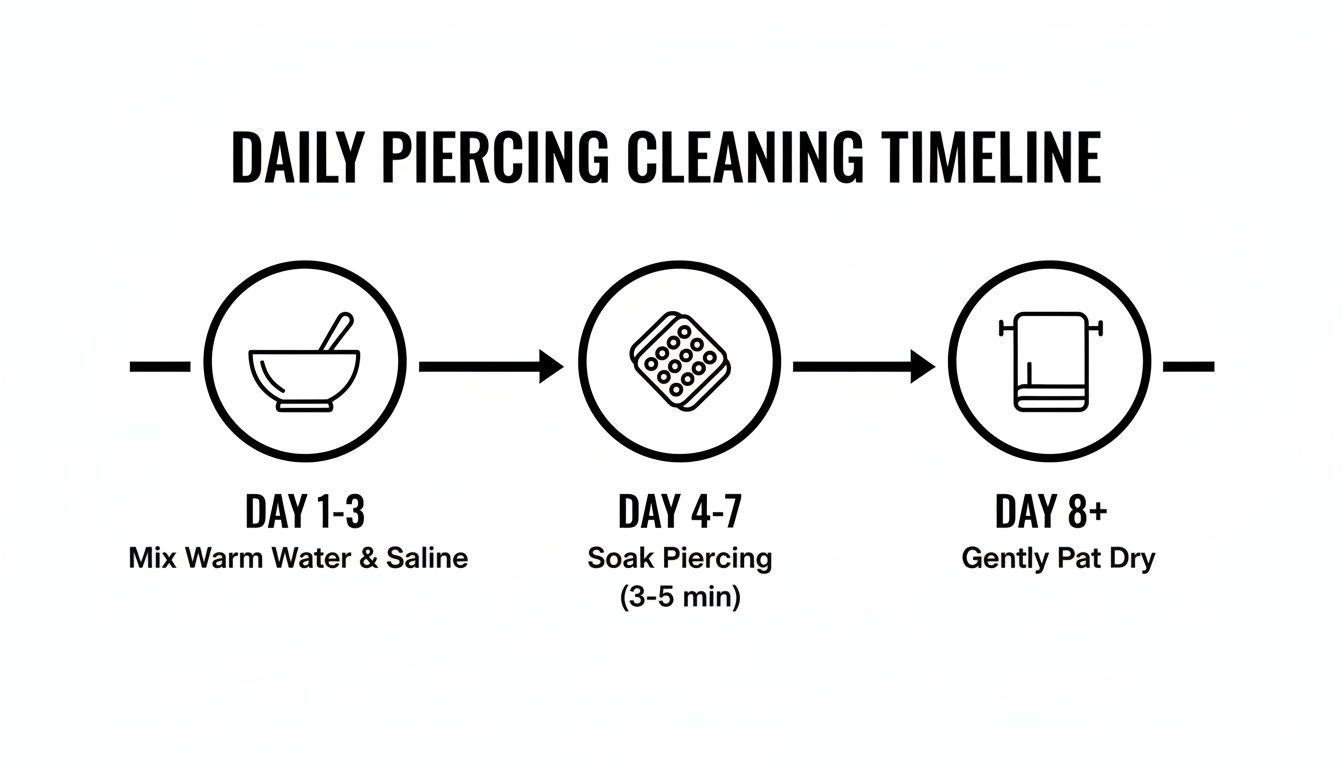 Daily piercing aftercare timeline showing steps to clean a new piercing for different days.