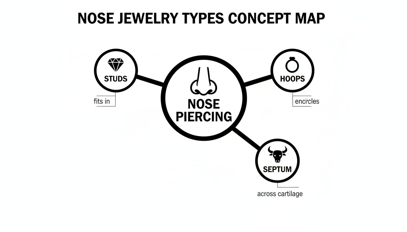 A concept map illustrating different types of nose jewelry, including studs, hoops, and septum piercings with their descriptions.