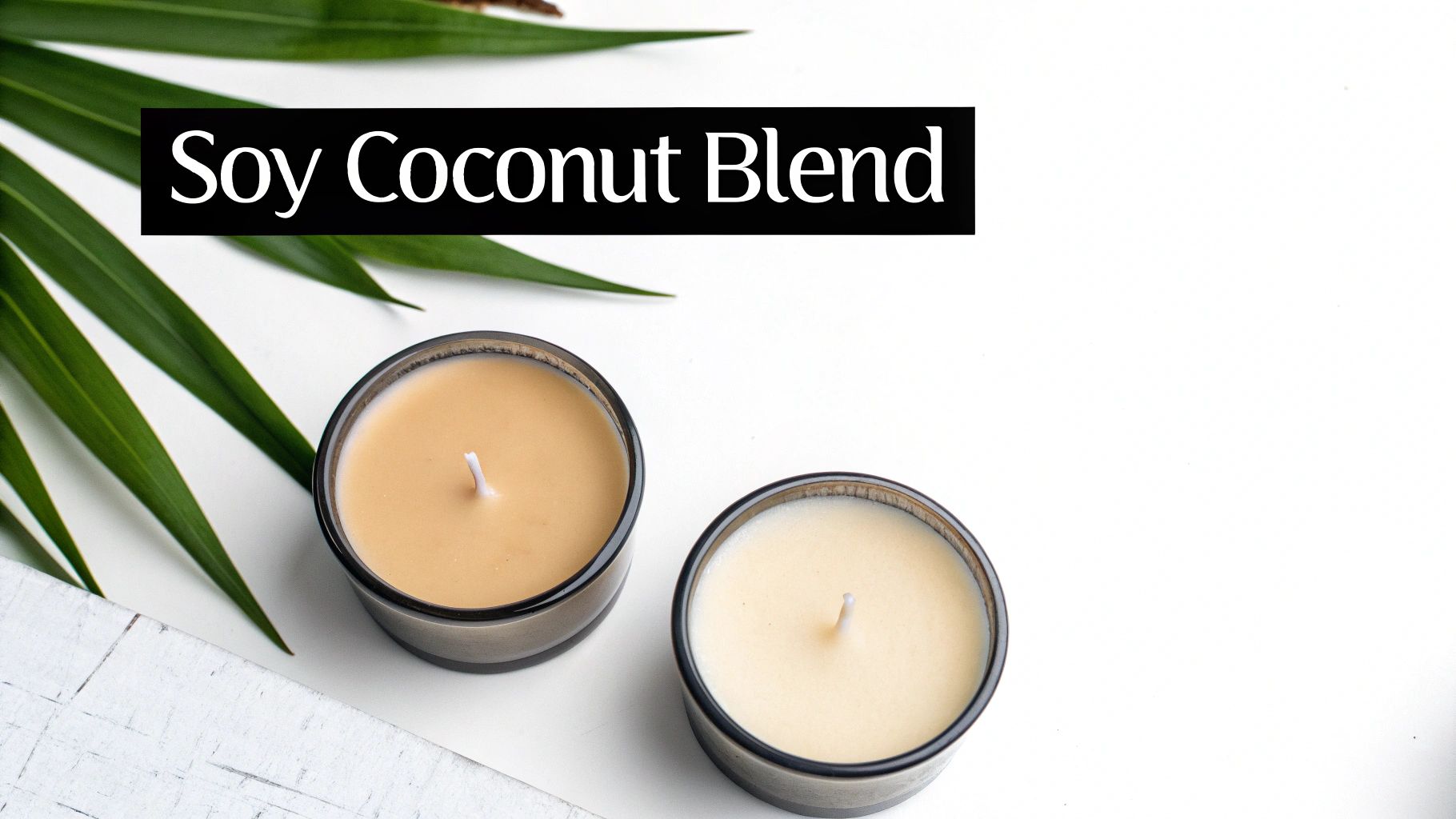 A close-up of creamy white soy and coconut wax flakes in a bowl.