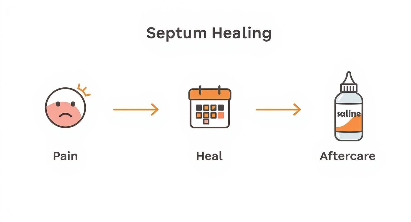 Infographic about septum piercing pros and cons