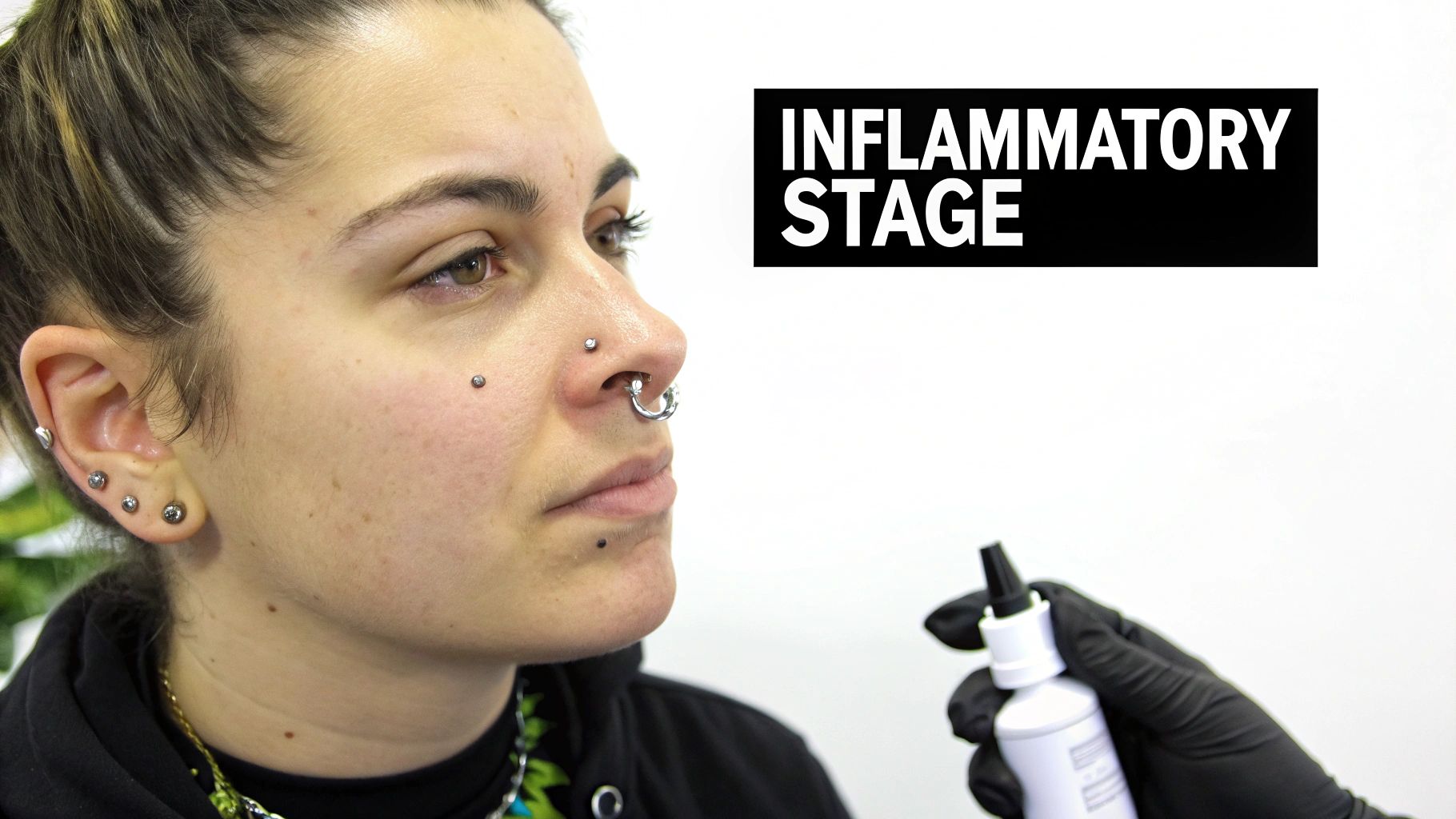 A close-up of a person's nose showing a fresh septum piercing with a simple ring.