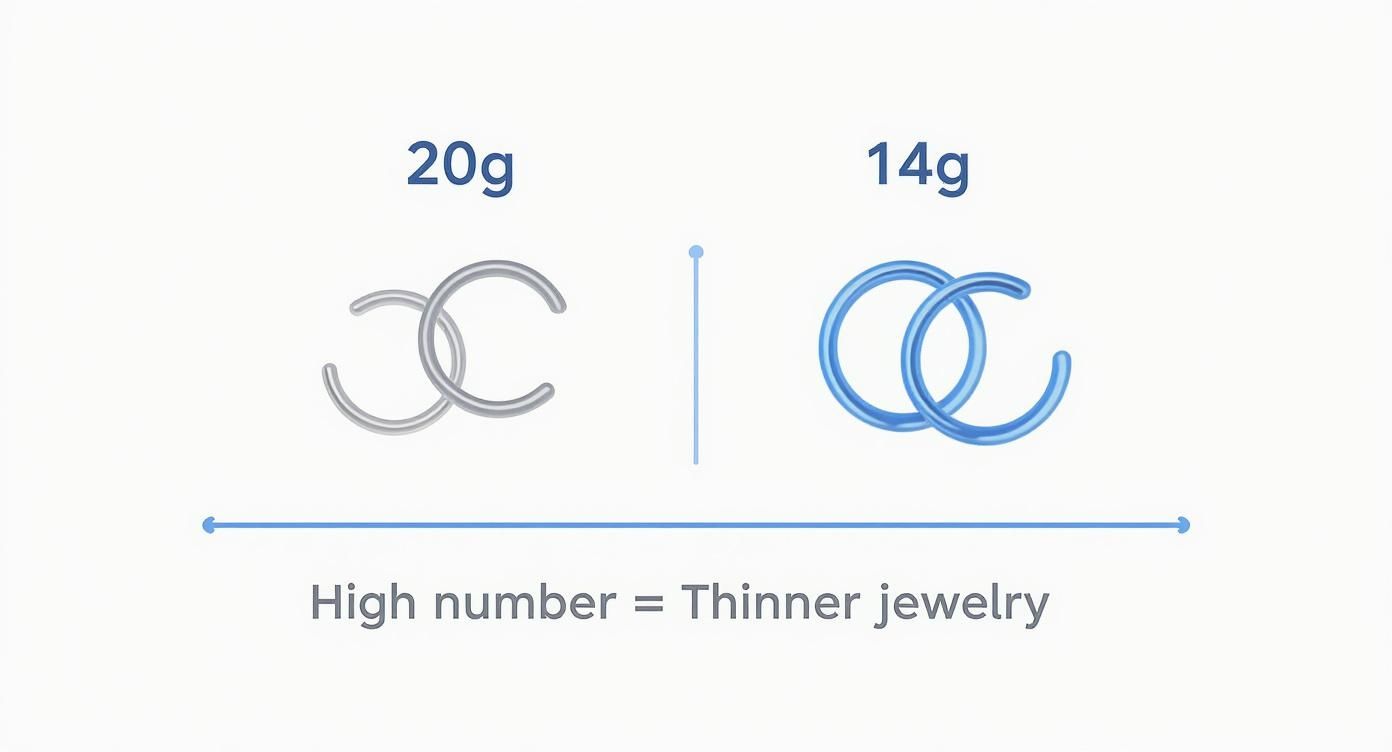 Infographic about gauge size chart