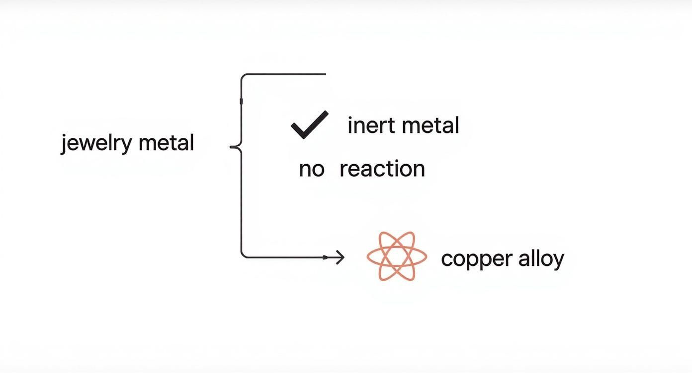A diagram categorizing jewelry metals into inert metals (no reaction) and copper alloys, explaining properties.
