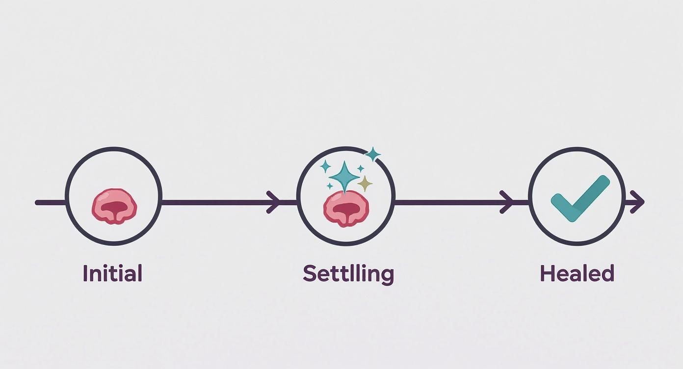 Infographic about belly piercing healing