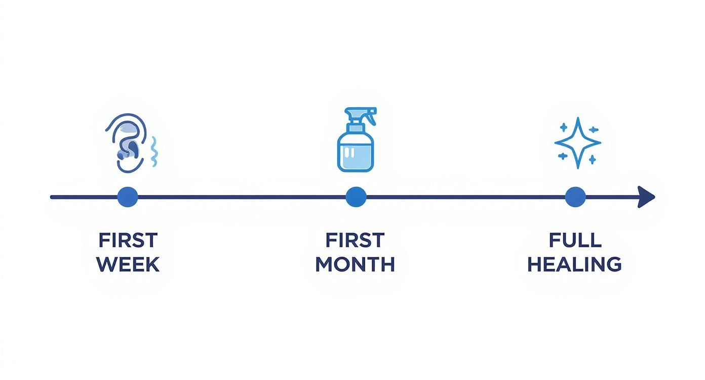 Infographic about aftercare for industrial piercing