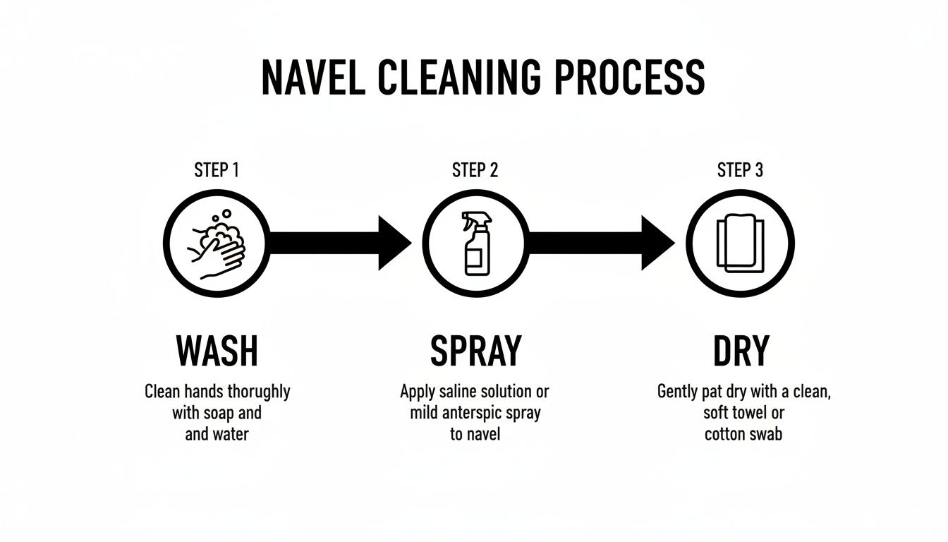 A three-step infographic outlining the navel cleaning process: wash, spray with solution, and dry.