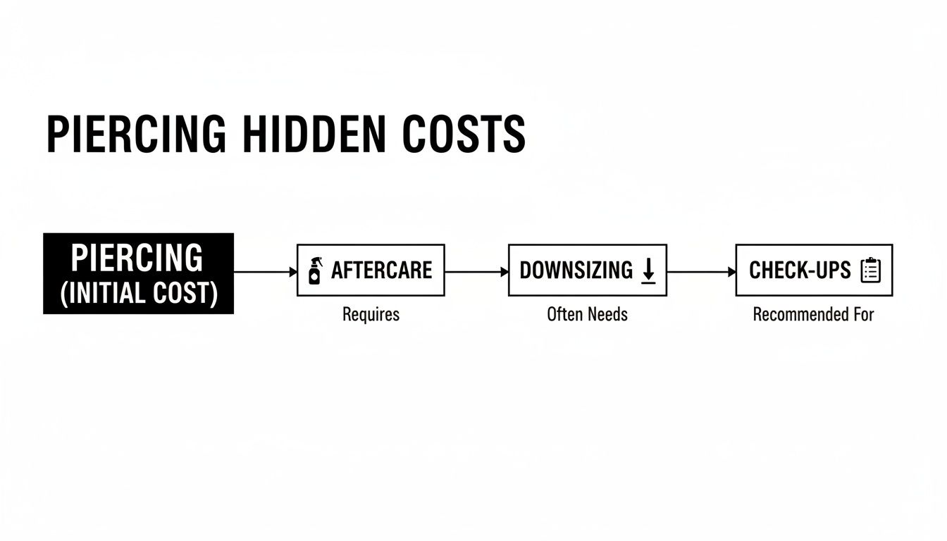 Flowchart illustrating the hidden costs of piercings, including initial cost, aftercare, downsizing, and check-ups.