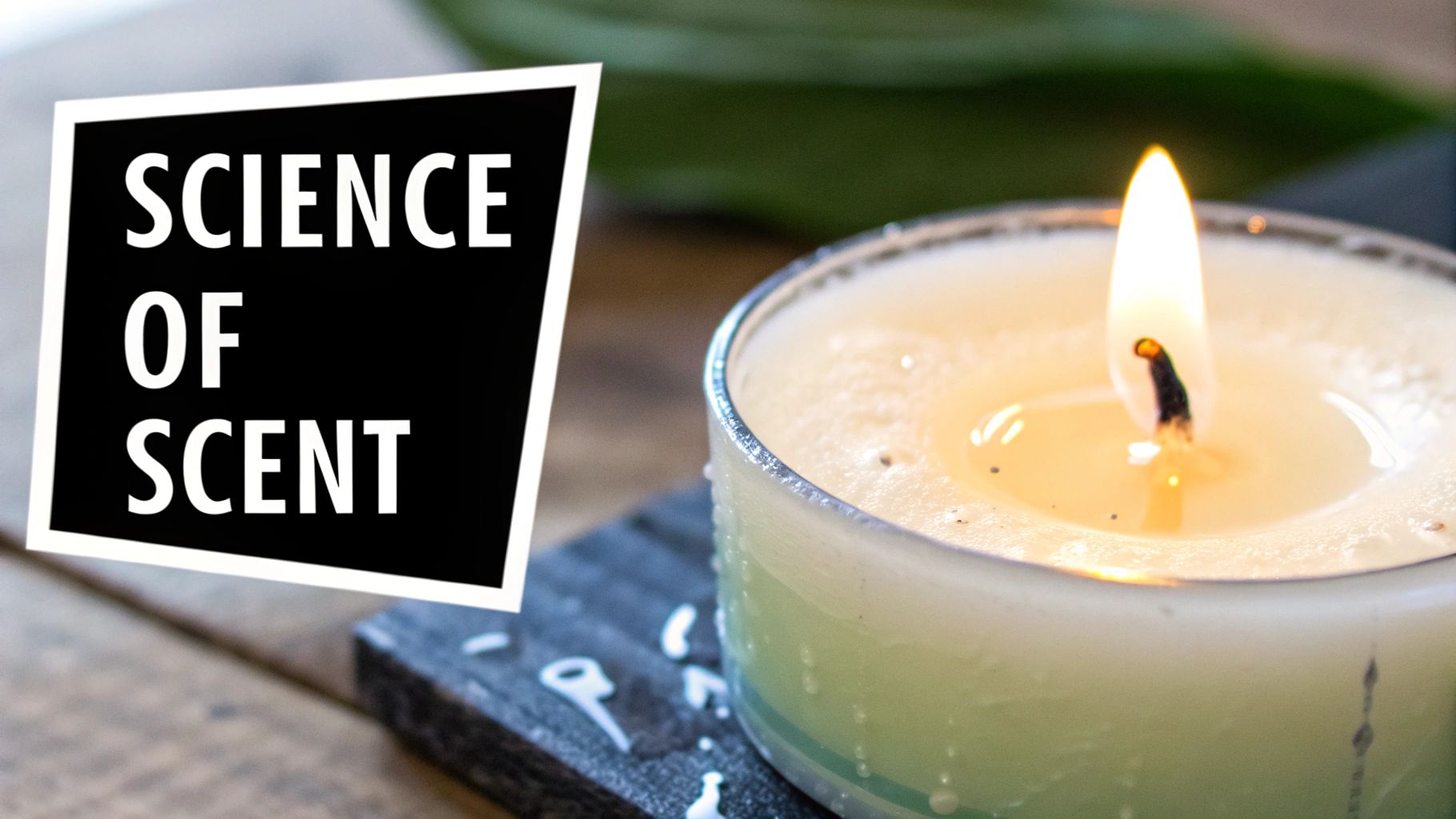 A scientific-style illustration showing fragrance molecules rising from a melted wax pool of a candle.