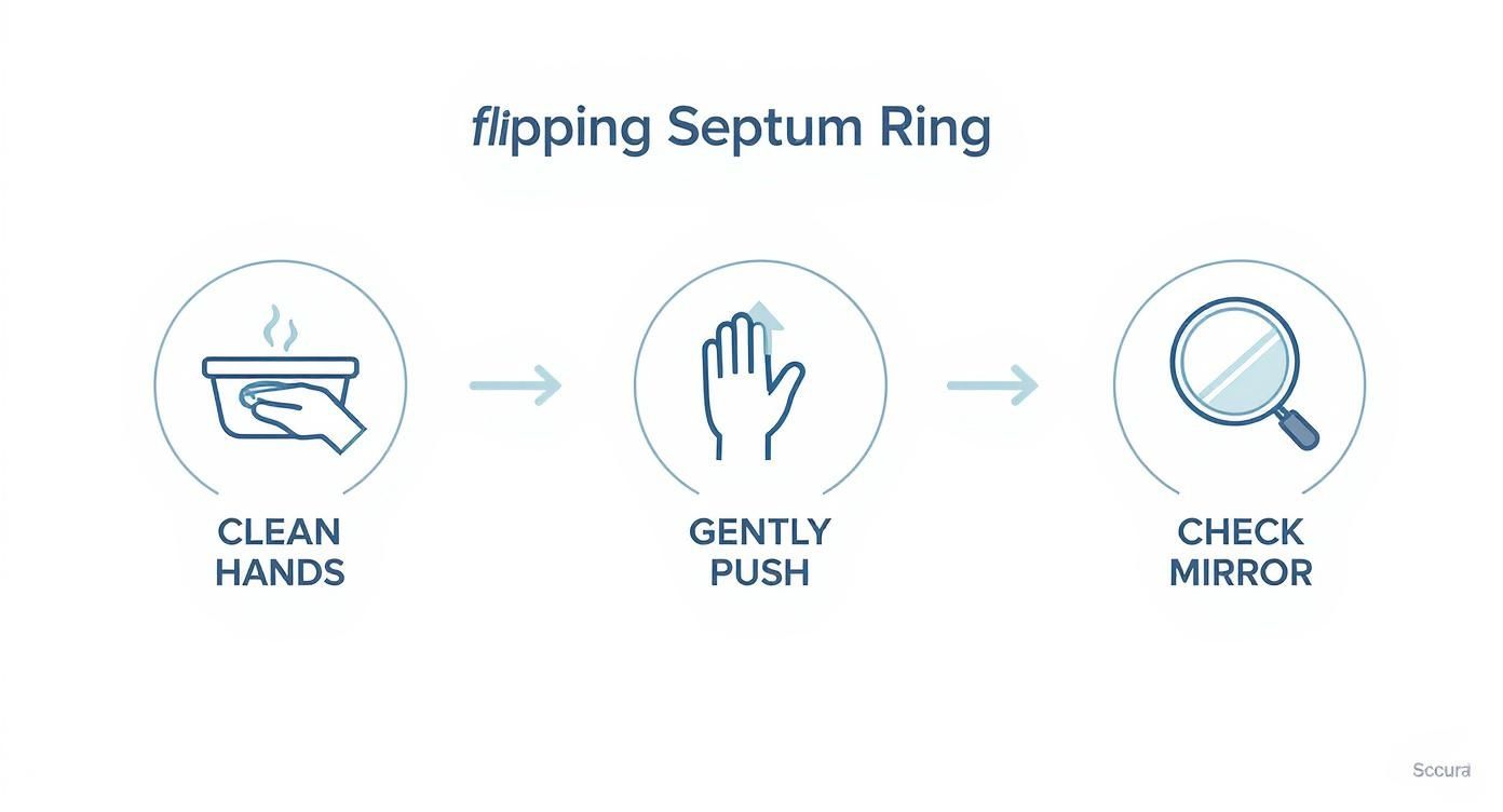 Infographic about how do you hide a septum piercing