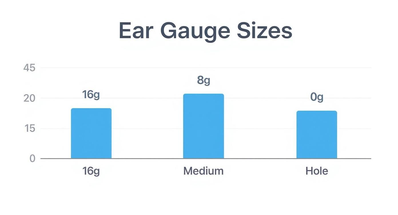 A bar chart titled 'Ear Gauge Sizes' visually compares the relative sizes of 16g, 8g, and 0g ear gauges.