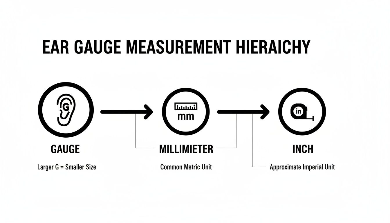 Ear gauge size conversion chart showing gauge, millimeter, and inch measurement units.