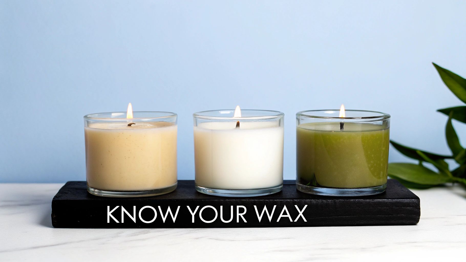 Three lit candles in glass containers on black display stand with know your wax text