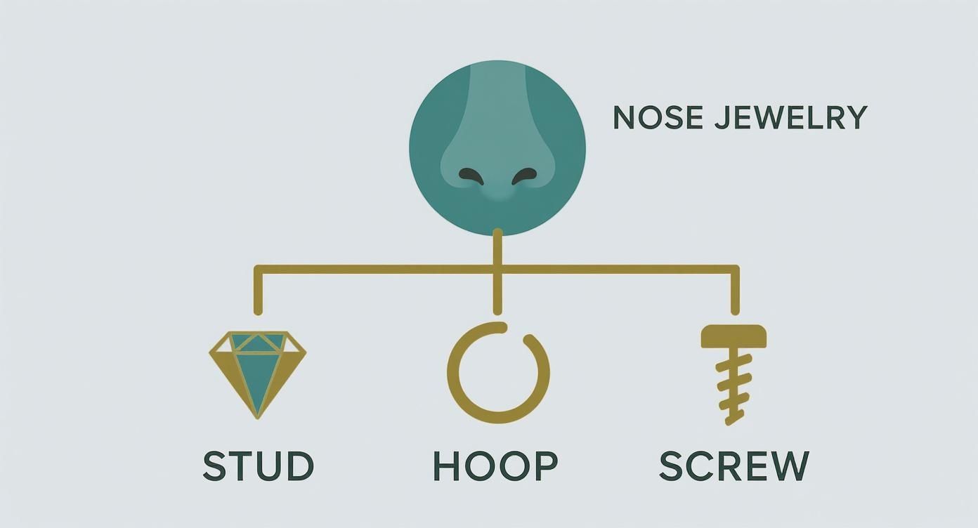 Diagram showing three types of nose jewelry: stud, hoop, and screw with decorative nose illustration