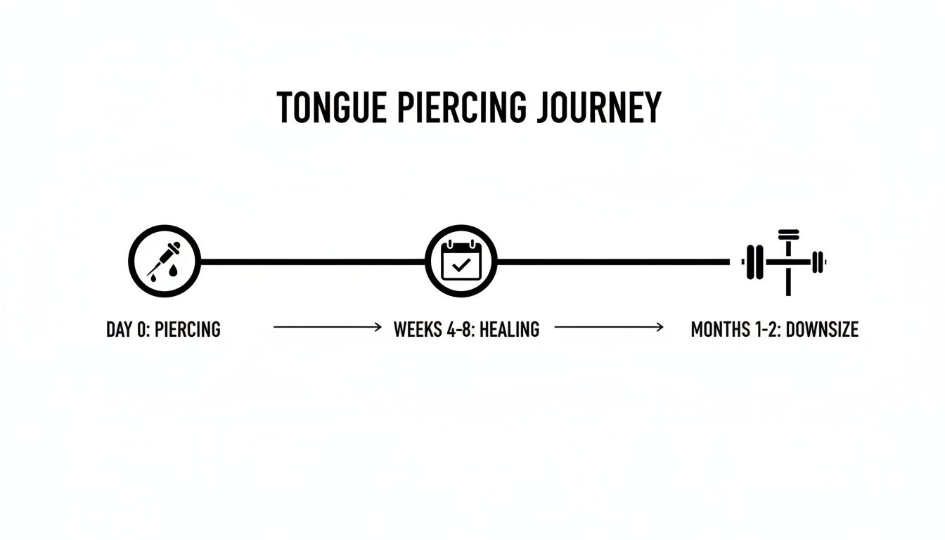 A visual timeline detailing the stages of a tongue piercing journey from initial piercing to downsizing.