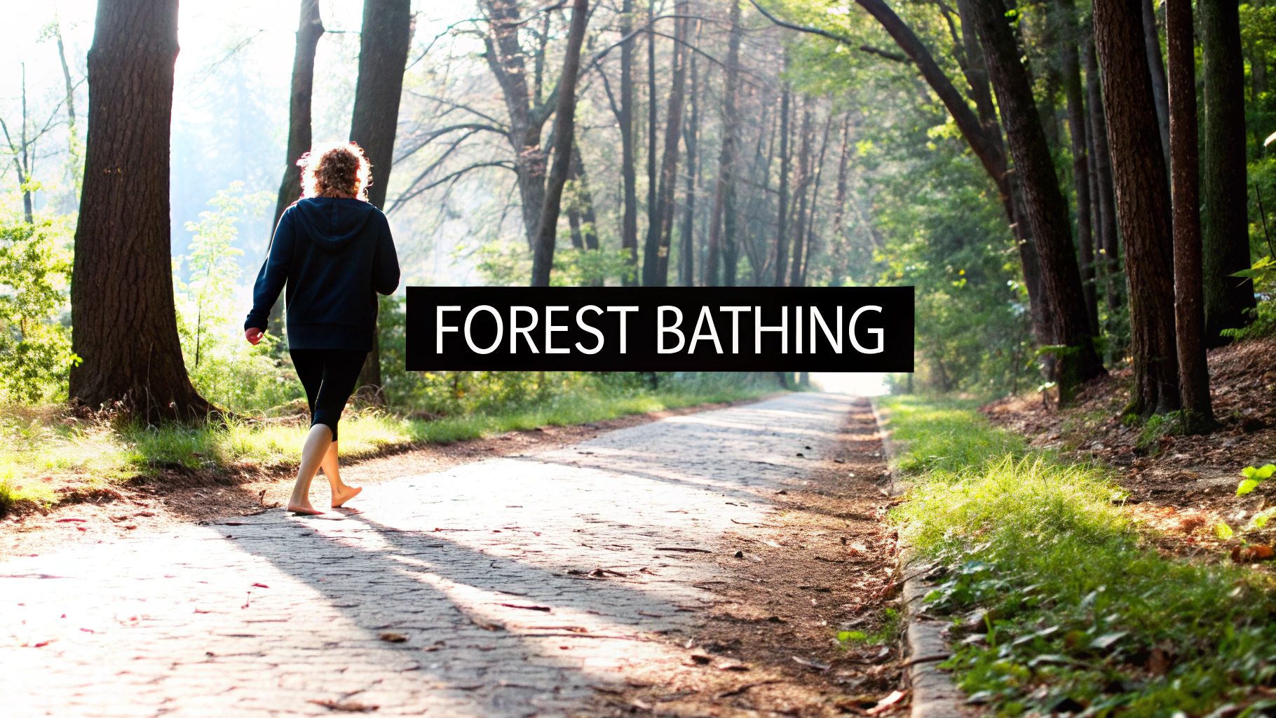 A person walking through a dense, green forest path with sunlight filtering through the trees.