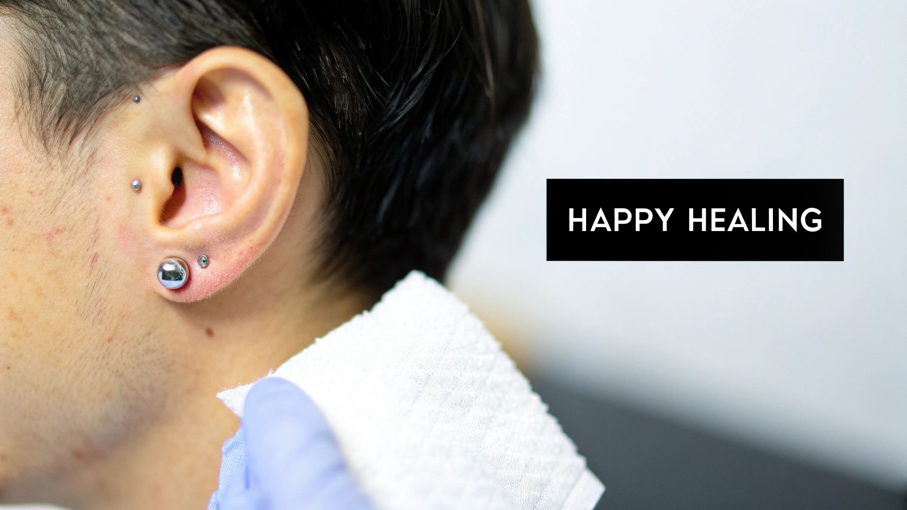Close-up of a person's ear with multiple fresh piercings, being gently cleaned by a gloved hand.