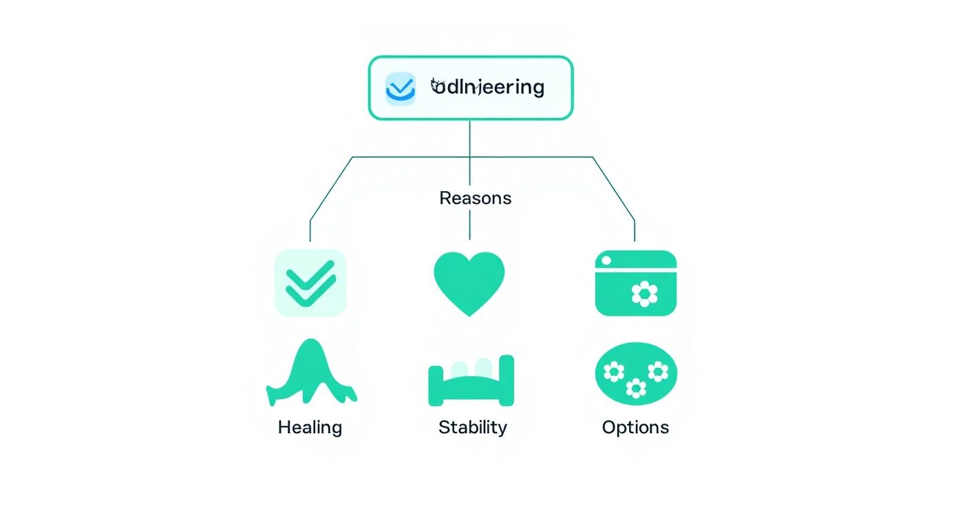 Infographic decision tree about what gauge is a tongue ring, showing that 14G is the standard for initial piercings due to healing, stability, and style options.