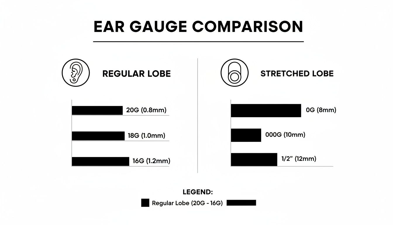 An ear gauge comparison chart showing sizes for regular lobes (20G to 16G) and stretched lobes (0G to 1/2 inch).