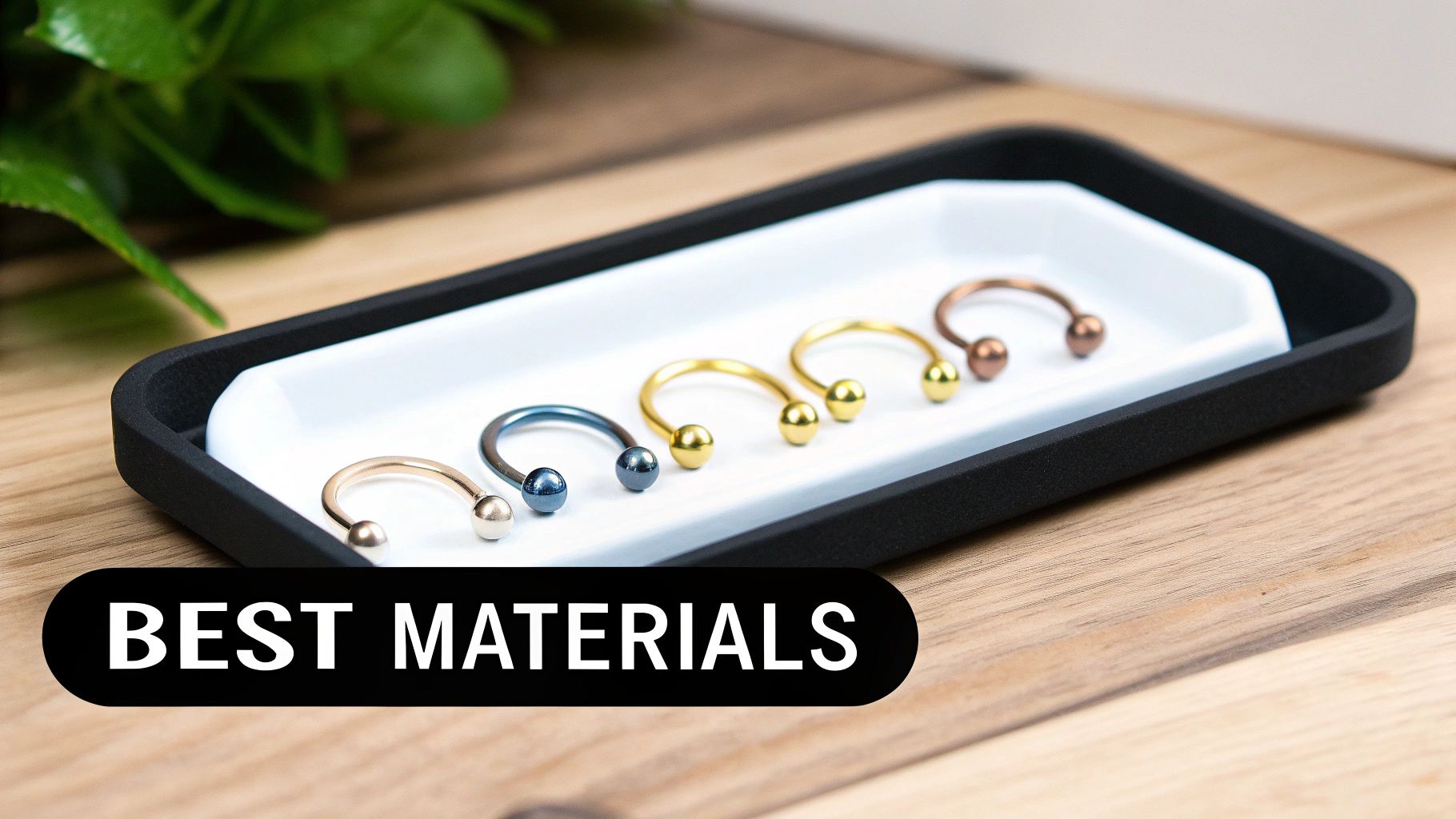 Five metallic horseshoe nose rings in various colors displayed on a white and black tray.