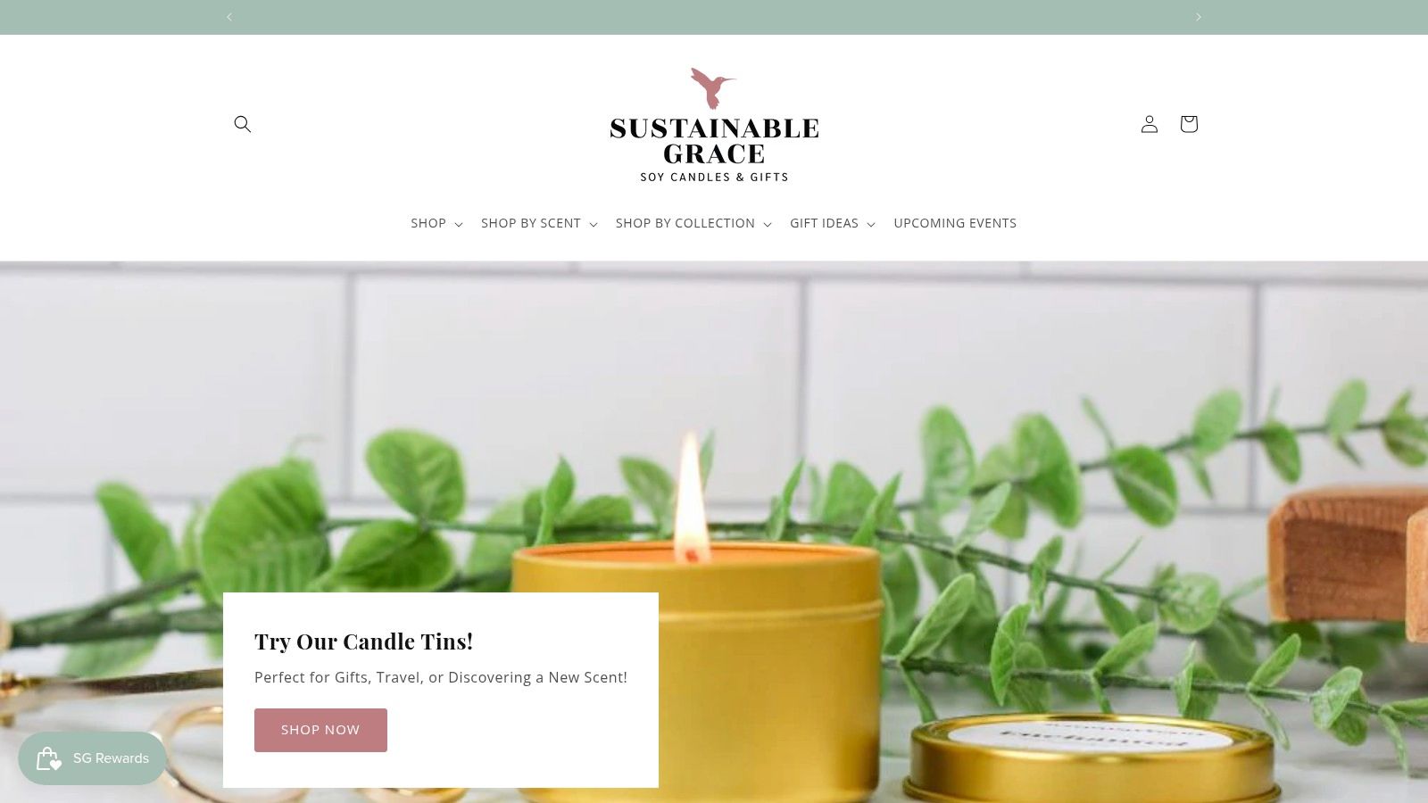 Sustainable Grace